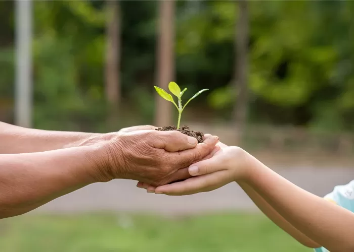 Environmental Responsibility
